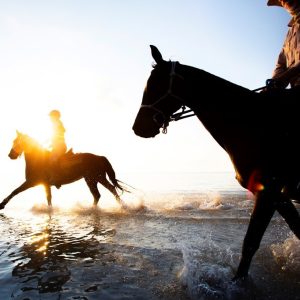 Horse riding with beach