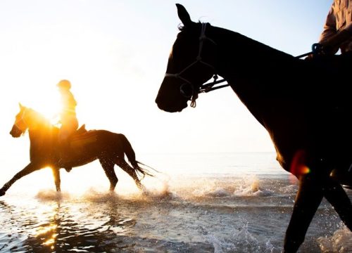 Horse riding with beach