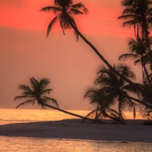 Orange Island Boat Trip snorkeling adventure”