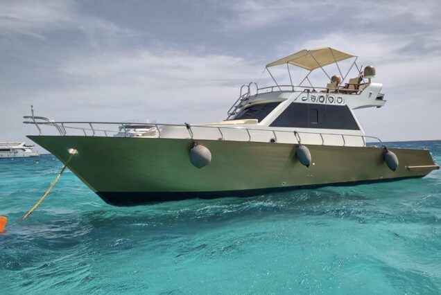 VIP private cruise