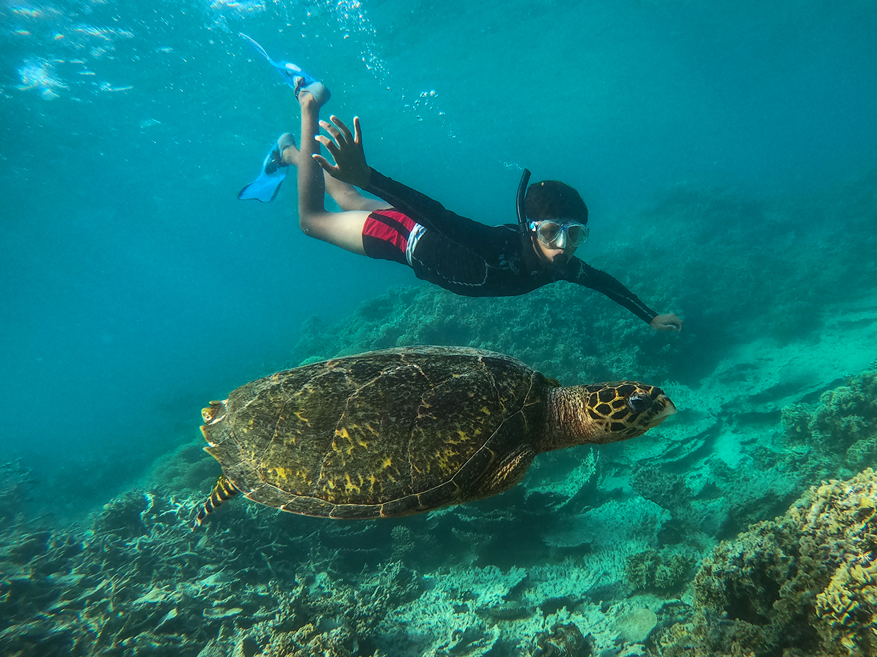 Sea Excursions