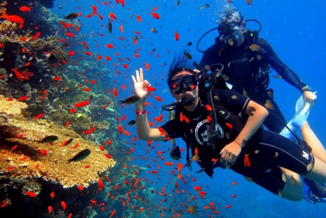 Scuba Diving