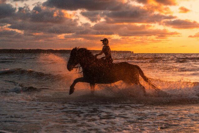 Horse riding with beach & Swimming