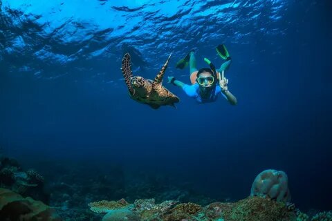 Abu Dabbab Turtle Beach group