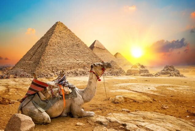 Cairo Economy Tour– By Bus