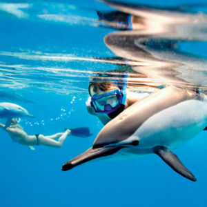 Dolphin House Hurghada Trip swimming with dolphins”