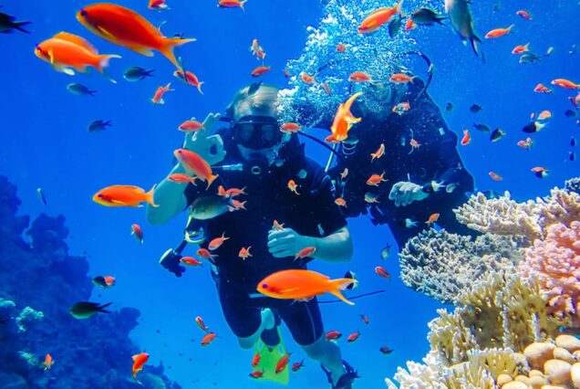 Introductory diving trip
