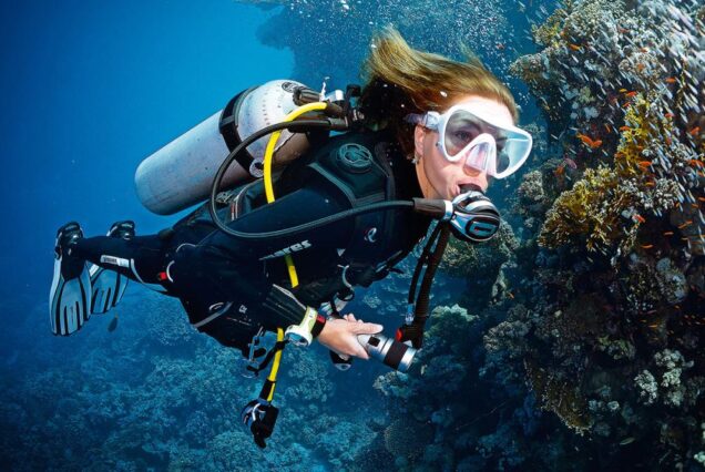 Intro Diving
