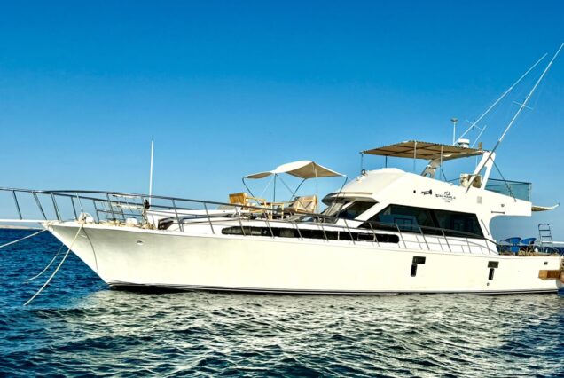 VIP private cruise ( large )