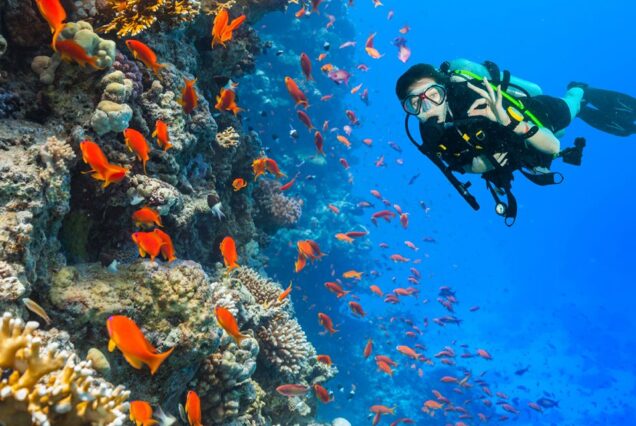 Professional diving trip