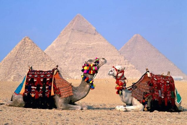 VIP private Cairo Tour by flight (GEM , Pyramids) 5 pax Minim