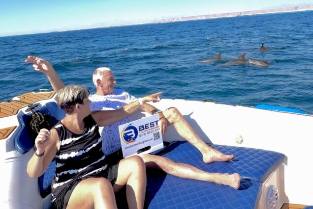 Dolphin House VIP Private Speedboat