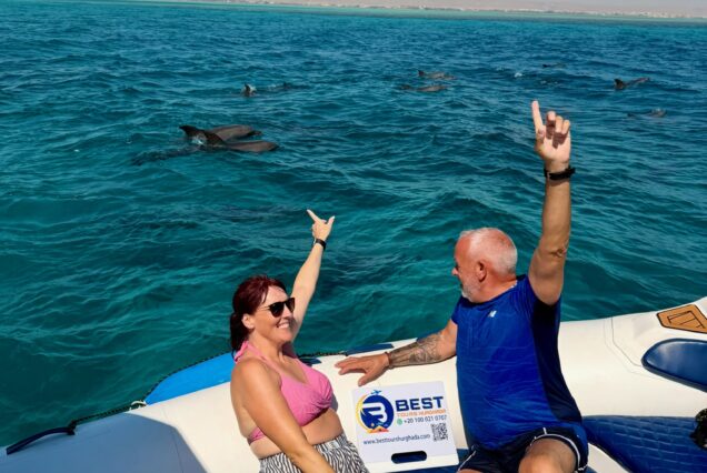 Private VIP Dolphin House Speedboat Trip
