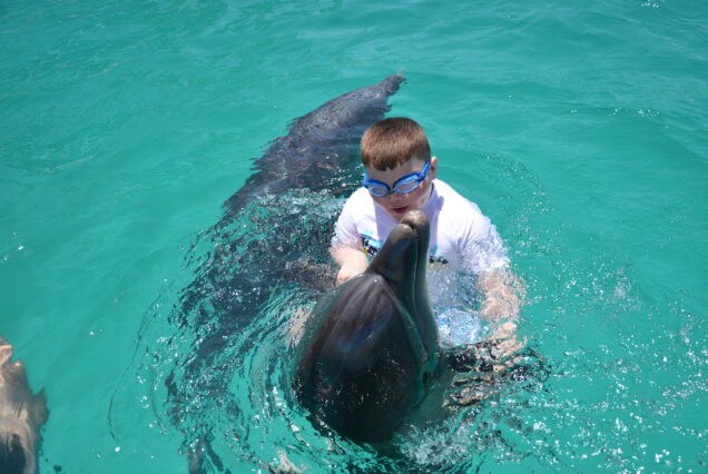 individual swimming with dolphins